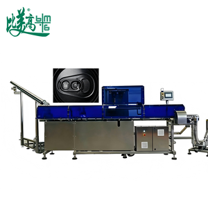 Lector <span class=keywords><strong>de</strong></span> Códigos y Marcador Láser Todo en Uno con Tapa <span class=keywords><strong>de</strong></span> Aluminio |   Alimentación, Rechazo, Conteo y Agregación Automáticos para Tapas - Product Image 1