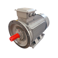 Moteur électrique 90 kW/440 kW à bobine, 3000 tr/min, sans balais, 2 pôles, avec chauffage par induction, pour machine à grignoter les graines et cage à ardillons