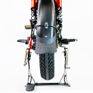 Disiyuan usine Fat Ebike Kiti rapide 250w 20 pouces cadre en acier Cargo Bike électrique Cargo Bike - Product Image 4