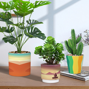 Maceta redonda <span class=keywords><strong>de</strong></span> plástico con patrón gradiente Ins, soporte para pluma <span class=keywords><strong>de</strong></span> maquillaje, conjunto <span class=keywords><strong>de</strong></span> contenedor hidropónico <span class=keywords><strong>de</strong></span> flores <span class=keywords><strong>de</strong></span> simulación - Product Image 6