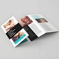 Brochure d'accessoires électroniques en papier glacé A5 C2S, pliée en Z, avec UV sélectif, marque du produit et diagramme des détails du produit