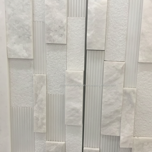 Panneaux exclusifs en marbre calcaire blanc du Vietnam, pierre naturelle pour villa, appartement et murs intérieurs élégants - Product Image 1