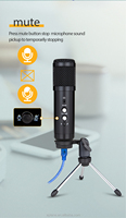 Microphone à condensateur USB pour conférences et studios, conception anti-bruit avec construction métallique