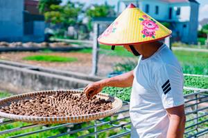 Incienso de Cono de Agarwood Puro Hecho con Polvo de Agarwood 100% Natural, Sin Químicos, Aroma Duradero, Meditación, Yoga, Aromático - Product Image 4