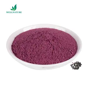 Polvere di sambuco nero 25% antocianidine/estratto di sambuco nero in polvere/sambuco nero P.e.