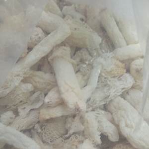 Jamur Bambu Kering Alami Phallus Indusiatus Jamur yang Dapat Dimakan - Product Image 5