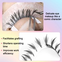 Extensions de cils pré-faites Anime Lash 0,07 mm, style bande dessinée, courbure C et D, 8-15 mm, plateau de cils en vrac, style naturel avec étiquette privée