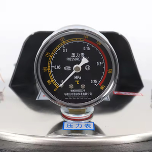 Taşınabilir 24 litre buharlı sterilizatör otoklav, Pet donatmak Medic ve veteriner araçları dezenfeksiyon için sterilizasyon cihazı - Product Image 4