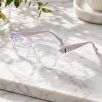 Lunettes optiques en acétate fabriquées à la main, personnalisables, de luxe, avec ornement, anti-lumière bleue, montures de lunettes pour un usage quotidien, OEM/ODM