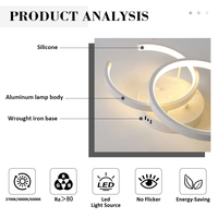 Minimaliste Dimmable Acrylique Art Mount Décoratif Fantaisie Maison Éclairage Moderne Restaurant Salon Led Plafonnier pour Intérieur