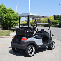 Voiturettes de golf électriques 2 places chinoises prix bon marché voiture buggy à vendre