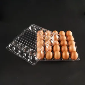 Günstiger Preis Hohe Qualität 25 Zellen Rechteck Transparente PET-Kunststoff-Eier behälter Einweg-Eier ablagen für den Haushalt