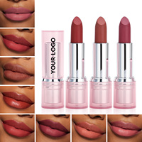 Rouge à lèvres mat en marque privée, petit MOQ, logo personnalisé, OEM, vente en gros de cosmétiques, fournitures de beauté