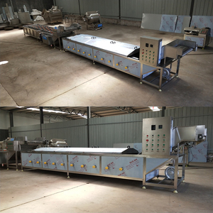 工業用自動キャッサバ棒状ブランチング加工ライン（食品殺菌・低温殺菌装置付き）1000kg処理能力（食品工場向け） - Product Image 3