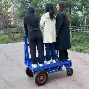 Camión Eléctrico Versátil: Apto para el Transporte de Vidrio, Pernos y Materiales de Construcción - Product Image 4