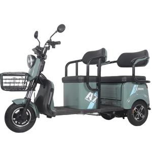 Tricycle à moteur 800W 48V, scooter à <span class=keywords><strong>3</strong></span> <span class=keywords><strong>roues</strong></span>, scooter de mobilité, scooter de mobilité <span class=keywords><strong>2</strong></span> <span class=keywords><strong>places</strong></span>, scooters de mobilité à <span class=keywords><strong>3</strong></span> <span class=keywords><strong>roues</strong></span>, tricycle - Product Image 1