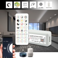 APP Musique Contrôleur LED Gradateur DC5V-24V RGB RGBW Tuya WiFi Smart RF Télécommande pour Bandes Led
