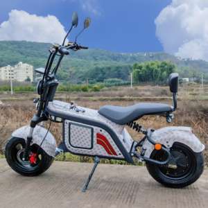 Scooter Eléctrico <span class=keywords><strong>de</strong></span> Golf <span class=keywords><strong>de</strong></span> 3 Ruedas y 2000W, Citycoco Motorizado con Soporte para Bolsa <span class=keywords><strong>de</strong></span> Golf Gratis - Product Image 6