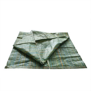 <span class=keywords><strong>Sac</strong></span> en PP 20 <span class=keywords><strong>kg</strong></span> 25 <span class=keywords><strong>kg</strong></span> 40 <span class=keywords><strong>kg</strong></span> 50 <span class=keywords><strong>kg</strong></span> <span class=keywords><strong>Sac</strong></span> en PP tissé non marqué pour mortier sec et <span class=keywords><strong>ciment</strong></span>, marque pour les Philippines - Product Image 5