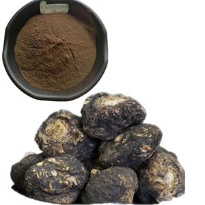 ผงมาคาสีดำธรรมชาติ100% ผงสกัดจากรากมาคาสีดำจำนวนมากวัตถุดิบเกรดอาหารสำหรับผู้ชายผง - Product Image 4