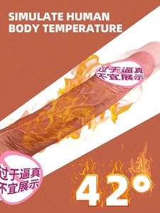 Frauen Silikon Dildo kann in den realistischen <span class=keywords><strong>Penis</strong></span> Replik Haut freundliche lebensechte private Accessoires Spielzeug 1-1 eingefügt werden - Product Image 4