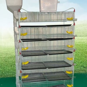 Cages à Cailles de Type H pour Volaille à Longue Durée de Vie en Vente - Product Image 3