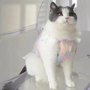 Pakaian Anjing Kucing Ringan dengan Bordir Bunga untuk Maltese Yorkshire <span class=keywords><strong>Terrier</strong></span> Teddy Bichon - Product Image 3