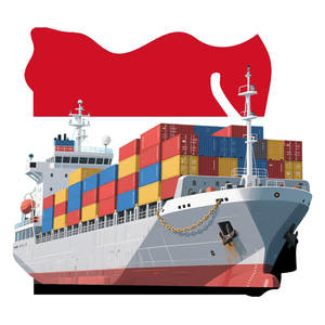 Dall'agenzia di spedizione merci cinese al più economico servizio di spedizione merci logistica via mare fino alla porta in Egitto - Product Image 1