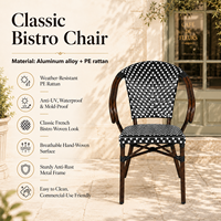Fauteuil de bistrot français pour patio extérieur, en rotin PE, avec structure en alliage d'aluminium, chaise de salle à manger pour jardin et balcon