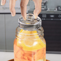 Kit de Fermentation en Verre avec Poids en Verre pour Bocal Mason à Large Ouverture, Poignée Ergonomique, Pierre Lourde pour Utilisation en Cuisine