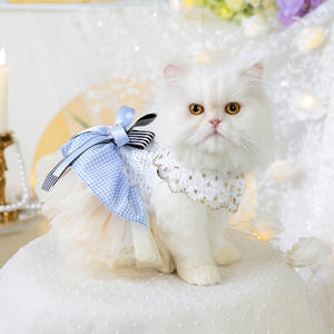 Vestido de Novia Ecológico de Poliéster para Primavera/Verano, Moderno, Elegante, Clásico, Corte en A, para Perros Pequeños, con Encaje de Lujo, para Año Nuevo - Product Image 1