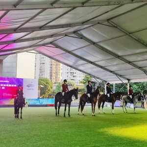 Fabrik preis UV-Widerstand Aluminium Industrie hallen Zelt, Horse Shelter,Horse Riding Arena Zelt - Product Image 4