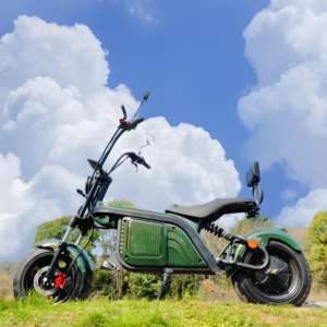 Eec Coc Potente Motocicleta Eléctrica Citycoco <span class=keywords><strong>2000</strong></span> W Scooters Colombia Para Adultos Mini Citycoco Aprobado 1500W <span class=keywords><strong>2000</strong></span> W Hombres 60V U1 - Product Image 2