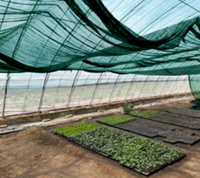 Filet d'ombrage extérieur en HDPE avec protection UV pour serres agricoles et plantes potagères