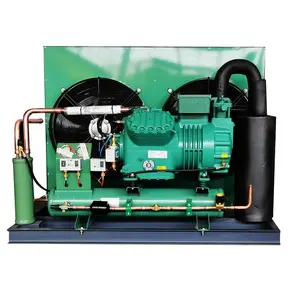 Koelkamer Condensor Apparatuur Zuiger Refriger Compressor Unit