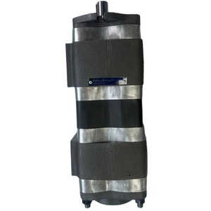 Bomba de Engranajes de Doble Accionamiento Hidráulico Serie Ipn5 Ipn4 Ipn6, Bomba de Engranajes Ipn4-32 Ipn4-40 Ipn4-50 para Prensa Hidráulica - Product Image 1