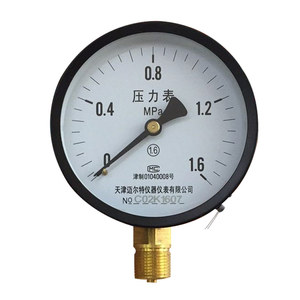 Manómetro de Presión Estándar Y 100, 0,1-6 MPa, Radial, para Aire y Agua - Product Image 1