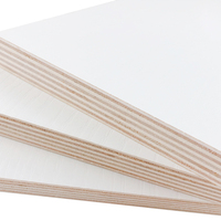 Papan Kayu Birch Komersial Merek Senjia Produsen Cina 18mm Ramah Lingkungan Standar E0 Desain Industrial Kelas Satu untuk Interior