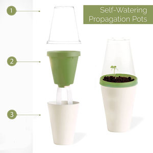 Nuevo producto Ideas 2023 Hierba Jardinería Regalos Macetas Mini Perejil Plástico para plantas Decoración al aire libre <span class=keywords><strong>Maceta</strong></span> para hombres y mujeres - Product Image 4