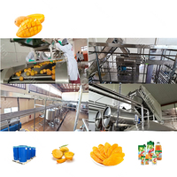 Nieuwe GOFUN automatische PLC-gestuurde mangosap- en pulpverwerkingslijn, roestvrijstalen constructie, 60-1500 ton/dag