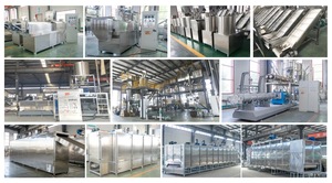 Máquina extrusora de alimentos para perros y gatos de doble tornillo, componentes centrales, motor y PLC para uso en fábrica de plantas procesadoras de alimentos secos - Product Image 3