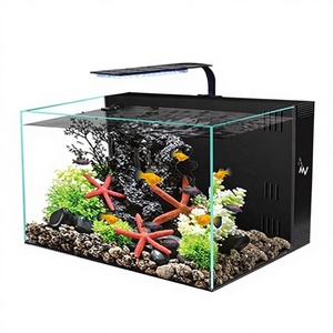 Fabrik-Großhandel Wohnzimmer Desktop Kleines Rechteckiges Glas Umweltfreundliches <span class=keywords><strong>Betta</strong></span> Goldfisch <span class=keywords><strong>Aquarium</strong></span> Fischbecken - Product Image 5