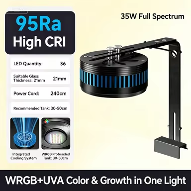 35w