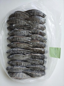 Acheter du tilapia vivant importé de Chine, tilapia en vente, <span class=keywords><strong>prix</strong></span> de gros <span class=keywords><strong>au</strong></span> <span class=keywords><strong>kg</strong></span> - Product Image 1