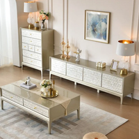 Table basse de salon moderne française, dorée, minimaliste, avec décoration coquillage artistique, pour petit appartement, en bois et marbre, durable, pour la maison