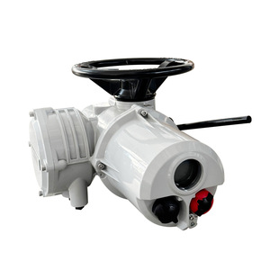 Actuador eléctrico Leicester Rq, estándar nacional para la industria petrolera y química - Product Image 1