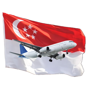 Consegna porta a porta DDP FBA spedizione magazzino merci spedizioniere servizi di logistica a <span class=keywords><strong>Singapore</strong></span> - Product Image 1