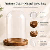Cloche en verre Art Déco transparente avec base en bois naturel, motif solide, soufflée à la main, pour fleurs préservées, cadeaux de mariage, décoration