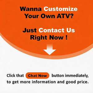 Nuevo ATV 2025 de 500w 2x4 con Certificación CE, Motocicleta Todoterreno de Cuatro Ruedas, Quad, Moto en Venta - Product Image 6