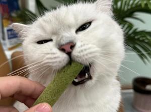 לוגו מותאם אישית להקפיא דשא חתול מיובש חטיפי חטיפים טעים בהקפאה לחתולים מיובשים - Product Image 6